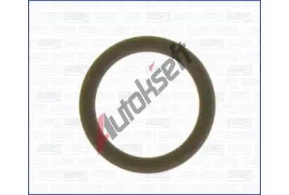 AJUSA T�sn�n� p��vodu vody AJS 16078800, 16078800