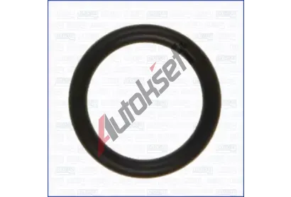AJUSA T�snic� krou�ek vst�ikov�n� AJS 16083400, 16083400