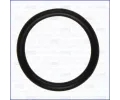T�sn�n� termostatu&nbsp;AJUSA&nbsp;&dash;&nbsp;AJS 16084900