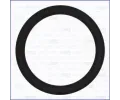 T�sn�n� veden� AGR ventilu&nbsp;AJUSA&nbsp;&dash;&nbsp;AJS 16092600