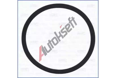 AJUSA T�sn�n� palivov�ho �erpadla AJS 16110400, 16110400