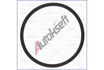AJUSA T�sn�n� vakuov�ho �erpadla AJS 16113600, 16113600