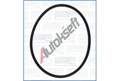 AJUSA T�sn�n� vst�ikovac�ho �erpadla AJS 16117900, 16117900