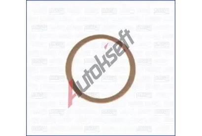 AJUSA Tsnic krouek olejov vypoutc ztky AJS 21010400, 21010400