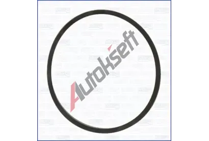 AJUSA T�sn�n� p��ruby chladiva AJS 24028600, 24028600