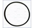 T�sn�n�, hrdlo �krt�c� klapky&nbsp;AJUSA&nbsp;&dash;&nbsp;AJS 24034500