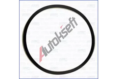 AJUSA T�sn�n�, hrdlo �krt�c� klapky AJS 24034500, 24034500