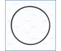 T�sn�n� pouzdra termostatu&nbsp;AJUSA&nbsp;&dash;&nbsp;AJS 24050400