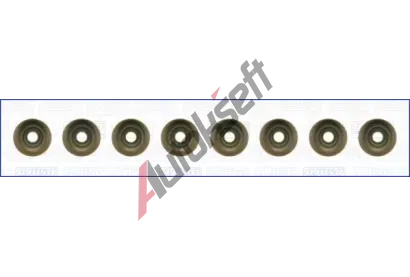 AJUSA Sada tsnn dku ventilu AJS 57039500, 57039500
