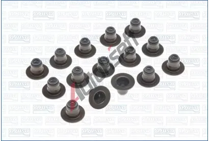 AJUSA Sada tsnn dku ventilu AJS 57051700, 57051700