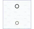 Sada t�sn�n� vst�ikovac� trysky&nbsp;AJUSA&nbsp;&dash;&nbsp;AJS 77002700