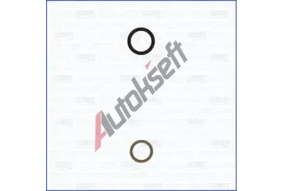 AJUSA Sada t�sn�n� vst�ikovac� trysky AJS 77002700, 77002700