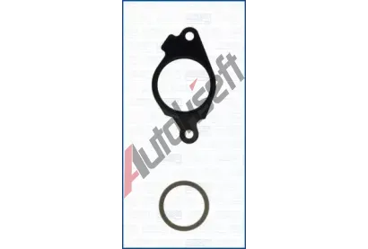 AJUSA Sada t�sn�n� - AGR syst�m AJS 77012400, 77012400