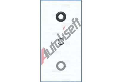 AJUSA Sada t�sn�n� vst�ikovac� trysky AJS 77029300, 77029300