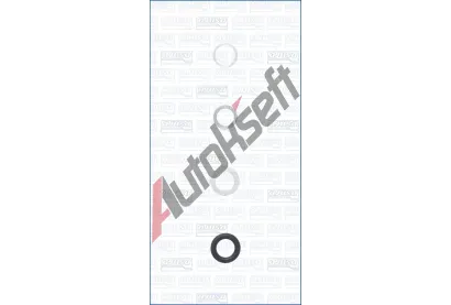 AJUSA Sada t�sn�n� vst�ikovac� trysky AJS 77029800, 77029800