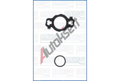 AJUSA Sada t�sn�n� - AGR syst�m AJS 77037200, 77037200