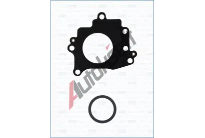 AJUSA Sada t�sn�n� - AGR syst�m AJS 77048900, 77048900