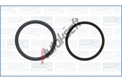 AJUSA Sada t�sn�n� - AGR syst�m AJS 77072100, 77072100
