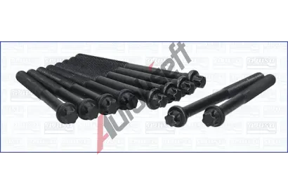 AJUSA Sada roub pro hlavy vlc AJS 81002900, 81002900