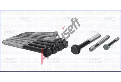 AJUSA Sada roub pro hlavy vlc AJS 81007200, 81007200