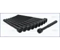 Sada roub pro hlavy vlc AJUSA ‐ AJS 81007300