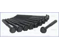 Sada roub pro hlavy vlc AJUSA ‐ AJS 81008300