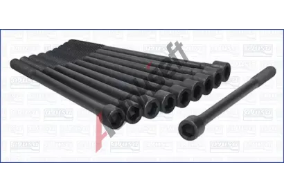 AJUSA Sada roub pro hlavy vlc AJS 81008800, 81008800