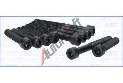 AJUSA Sada roub pro hlavy vlc AJS 81010900, 81010900