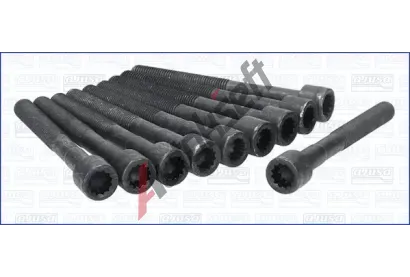 AJUSA Sada roub pro hlavy vlc AJS 81013300, 81013300