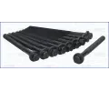 Sada roub pro hlavy vlc AJUSA ‐ AJS 81016200