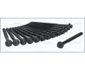 Sada roub pro hlavy vlc AJUSA ‐ AJS 81020000