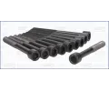 Sada �roub� pro hlavy v�lc�&nbsp;AJUSA&nbsp;&dash;&nbsp;AJS 81021700