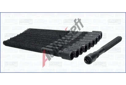 AJUSA Sada roub pro hlavy vlc AJS 81025900, 81025900