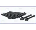 Sada �roub� pro hlavy v�lc�&nbsp;AJUSA&nbsp;&dash;&nbsp;AJS 81037500
