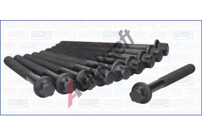 AJUSA Sada roub pro hlavy vlc AJS 81043000, 81043000