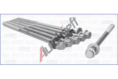 AJUSA Sada roub pro hlavy vlc AJS 81046800, 81046800