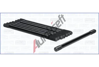 AJUSA Sada roub pro hlavy vlc AJS 81048300, 81048300