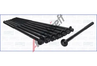 AJUSA Sada roub pro hlavy vlc AJS 81048600, 81048600