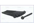 Sada roub pro hlavy vlc AJUSA ‐ AJS 81051600