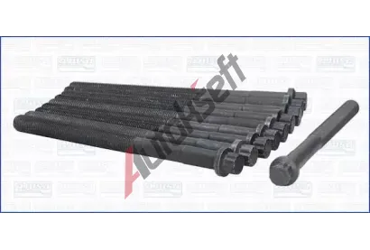 AJUSA Sada roub pro hlavy vlc AJS 81056500, 81056500