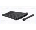 Sada roub pro hlavy vlc AJUSA ‐ AJS 81056700