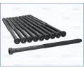 Sada roub pro hlavy vlc AJUSA ‐ AJS 81059700