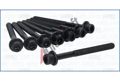 AJUSA Sada roub pro hlavy vlc AJS 81062500, 81062500