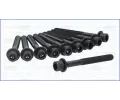 Sada �roub� pro hlavy v�lc�&nbsp;AJUSA&nbsp;&dash;&nbsp;AJS 81062900