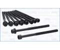 Sada �roub� pro hlavy v�lc�&nbsp;AJUSA&nbsp;&dash;&nbsp;AJS 81066700