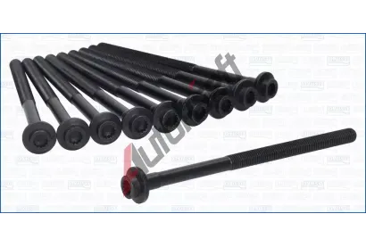 AJUSA Sada roub pro hlavy vlc AJS 81068100, 81068100