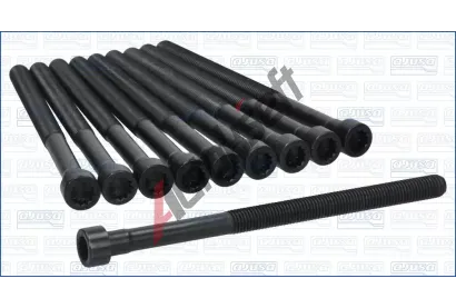 AJUSA Sada roub pro hlavy vlc AJS 81068200, 81068200