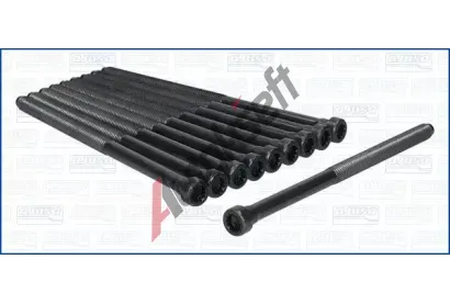 AJUSA Sada roub pro hlavy vlc AJS 81069000, 81069000