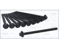 Sada �roub� pro hlavy v�lc�&nbsp;AJUSA&nbsp;&dash;&nbsp;AJS 81069400