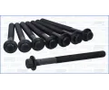 Sada �roub� pro hlavy v�lc�&nbsp;AJUSA&nbsp;&dash;&nbsp;AJS 81079000